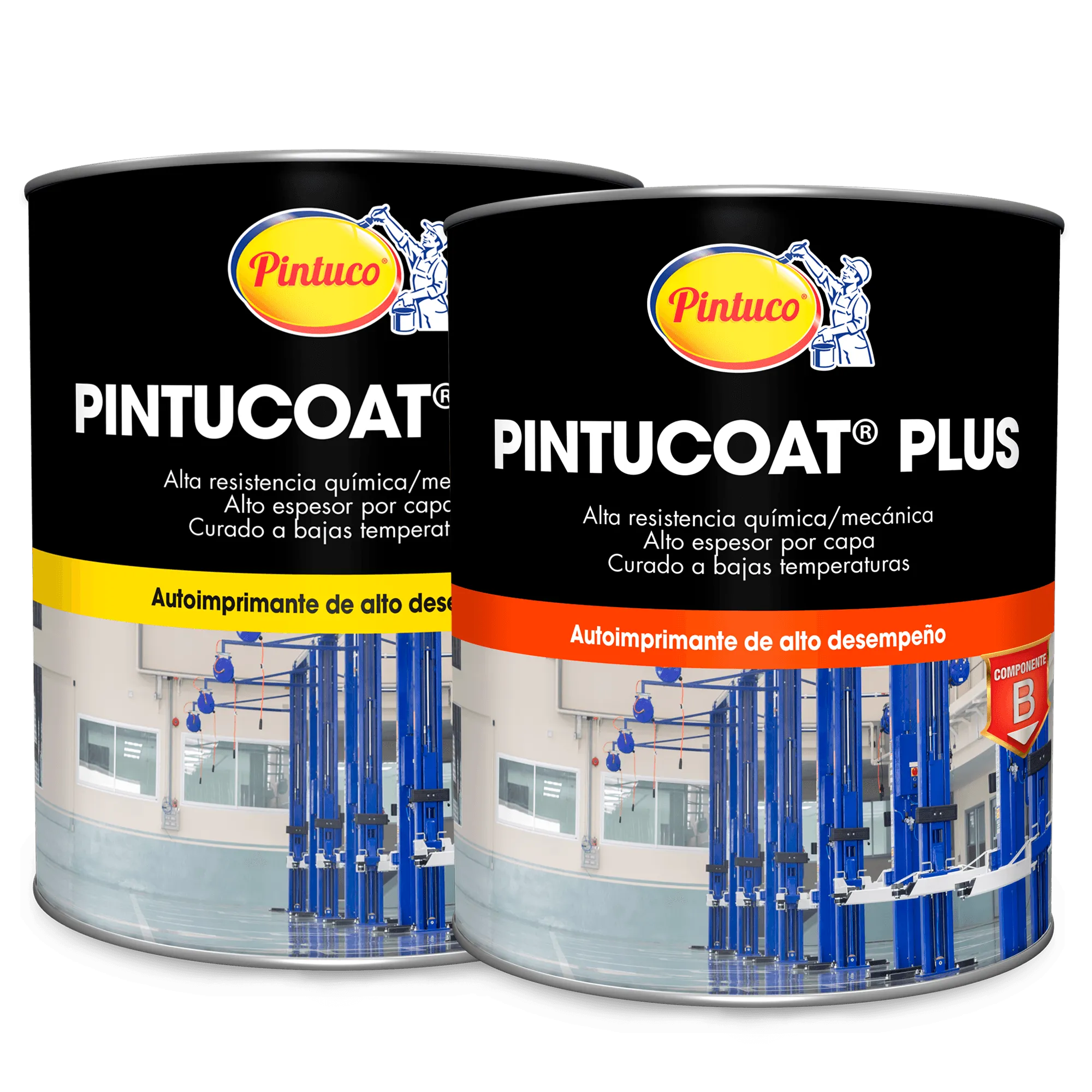 Pintucoat Plus