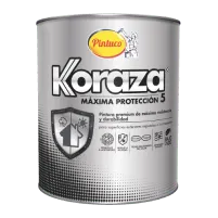 Koraza Pintuco