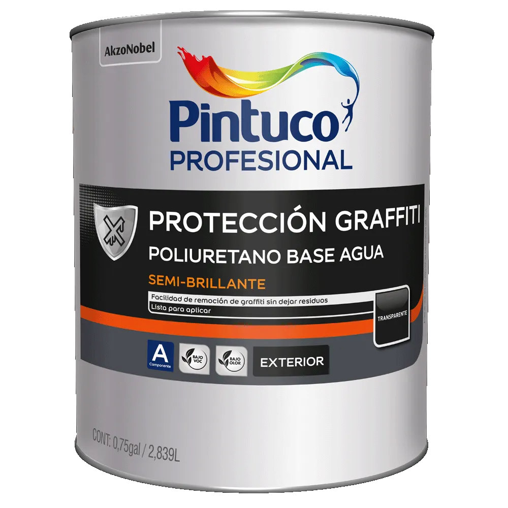 Pintura Protección Graffiti